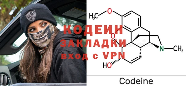 молекула духа Арсеньев