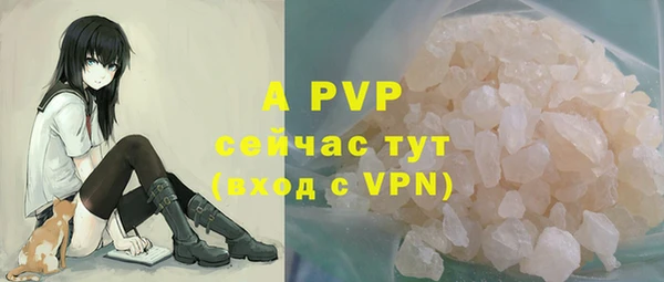 молекула духа Арсеньев