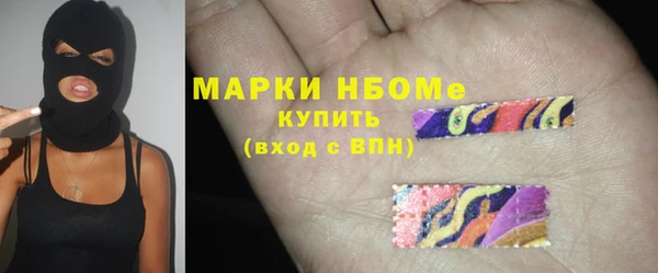 молекула духа Арсеньев