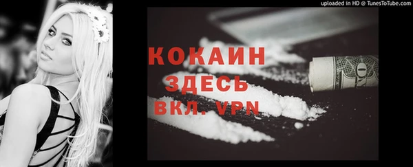 молекула духа Арсеньев