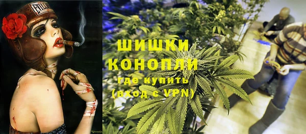 молекула духа Арсеньев
