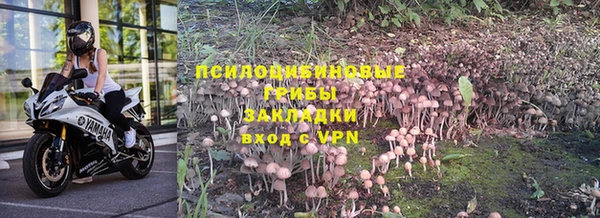 гашик Армянск