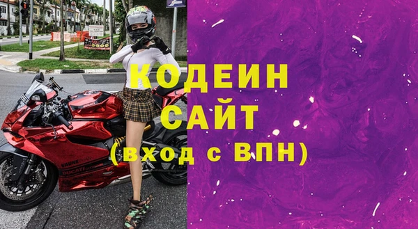 молекула духа Арсеньев